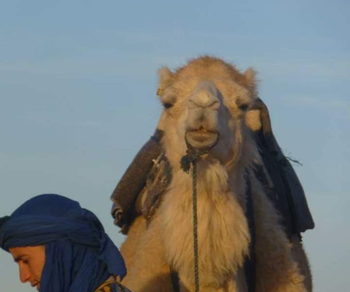 3 Days Holidays from Fes to Merzouga desert tour